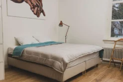 Zelesta Easybed Hellgrau & Meergrün 14 Zelesta Easybed Hellgrau & Meergrün -Kinderbett Geschäft a7922620c59dec17c069850148c08ca0